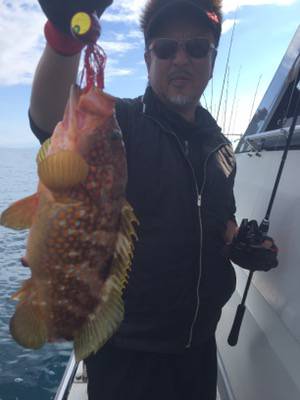 シーモンキー 釣果