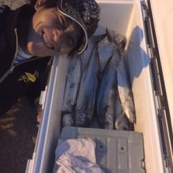 シーモンキー 釣果