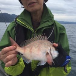 シーモンキー 釣果