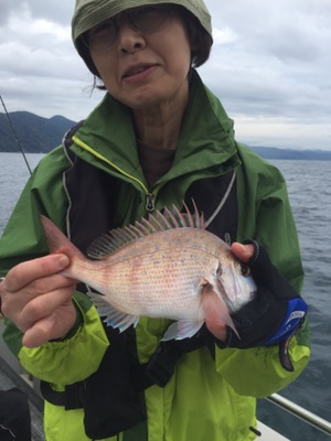 シーモンキー 釣果