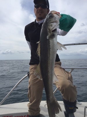 シーモンキー 釣果