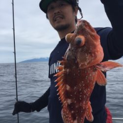 シーモンキー 釣果