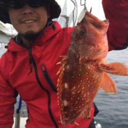 シーモンキー 釣果