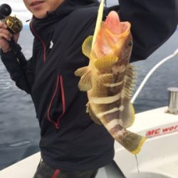 シーモンキー 釣果