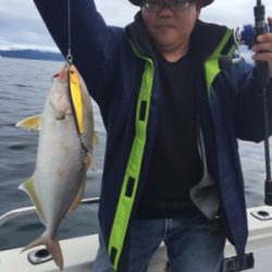 シーモンキー 釣果