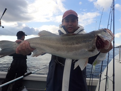 シーモンキー 釣果