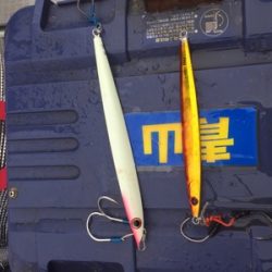 シーモンキー 釣果