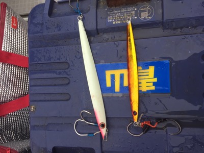 シーモンキー 釣果