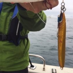 シーモンキー 釣果