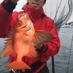 シーモンキー 釣果