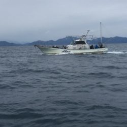 シーモンキー 釣果