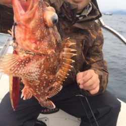 シーモンキー 釣果