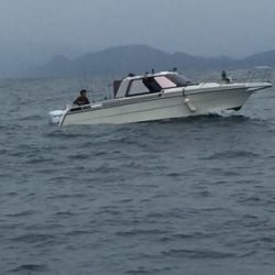 シーモンキー 釣果