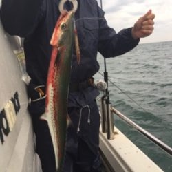 シーモンキー 釣果