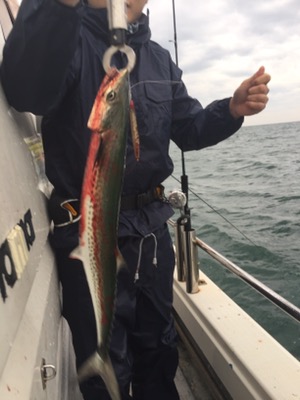 シーモンキー 釣果