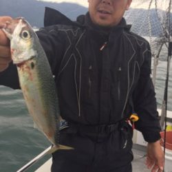 シーモンキー 釣果