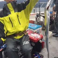 シーモンキー 釣果