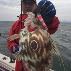 シーモンキー 釣果