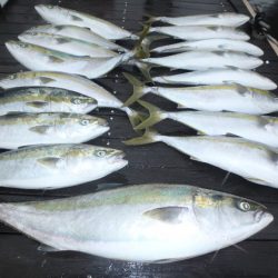 美里丸 釣果