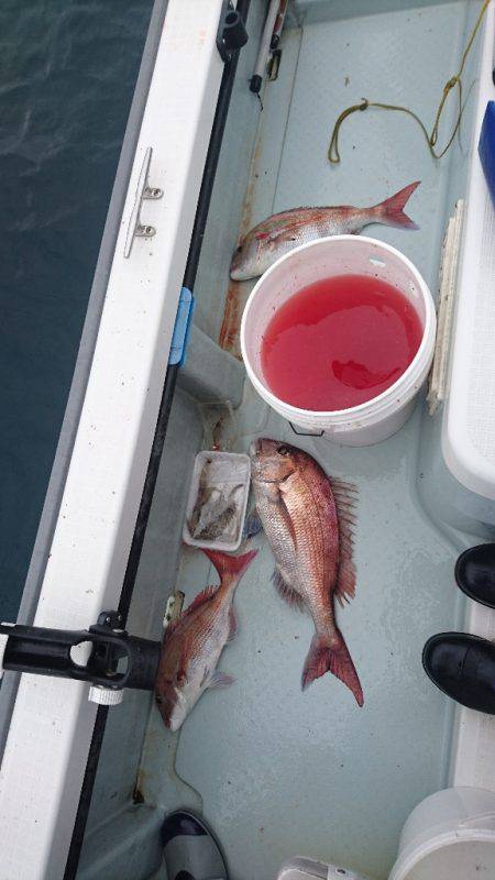 遊漁船ブルーウッズ 釣果