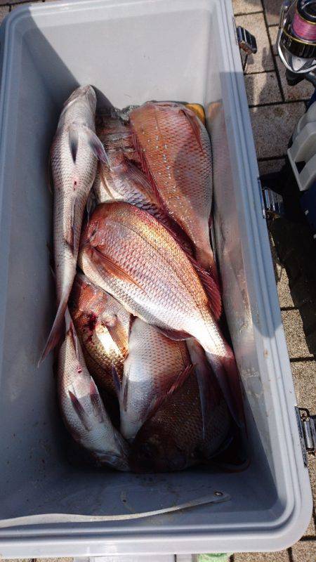 遊漁船ブルーウッズ 釣果