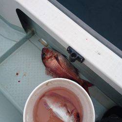 遊漁船ブルーウッズ 釣果