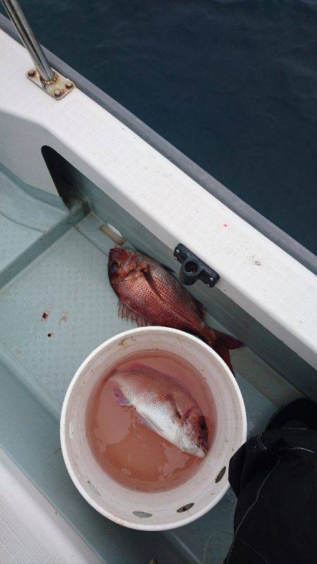 遊漁船ブルーウッズ 釣果