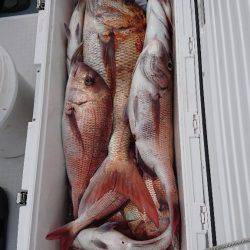 遊漁船ブルーウッズ 釣果