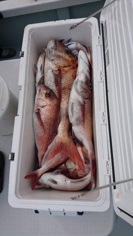 遊漁船ブルーウッズ 釣果