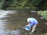 秩父フライフィールド 釣果
