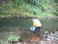 秩父フライフィールド 釣果