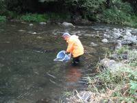秩父フライフィールド 釣果