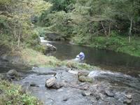 秩父フライフィールド 釣果