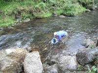秩父フライフィールド 釣果