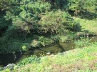 秩父フライフィールド 釣果