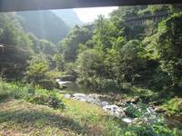 秩父フライフィールド 釣果