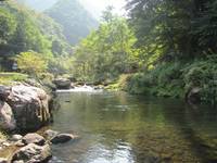 秩父フライフィールド 釣果