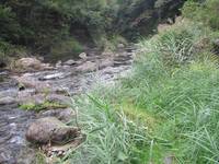 秩父フライフィールド 釣果