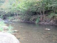 秩父フライフィールド 釣果