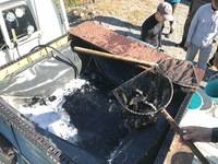 秩父フライフィールド 釣果