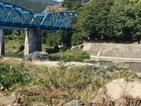 秩父フライフィールド 釣果