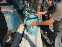 秩父フライフィールド 釣果