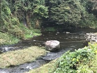 秩父フライフィールド 釣果