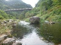 秩父フライフィールド 釣果