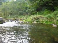 秩父フライフィールド 釣果