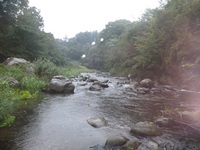 秩父フライフィールド 釣果