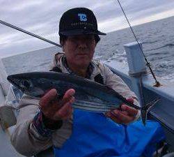 かねい丸 釣果