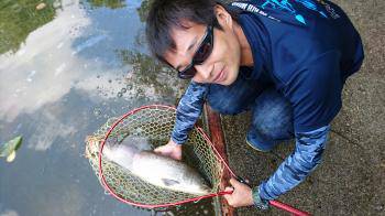 フィッシング サンクチュアリ 釣果