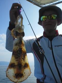 シースナイパー海龍 釣果