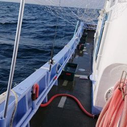 小樽港遊漁船SHAKE 釣果